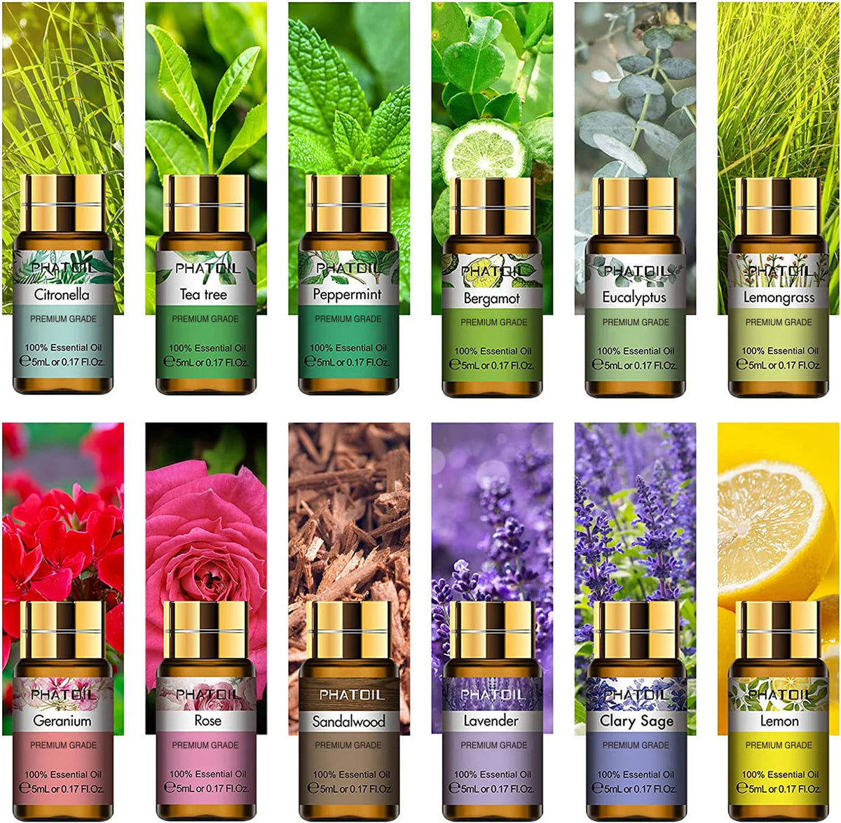 PHATOIL 12 szt. Zestaw prezentowy Czyste naturalne olejki eteryczne do nawilżaczy dyfuzorów masażu spa Lawenda Trawa cytrynowa Drzewo herbaciane Cytronella